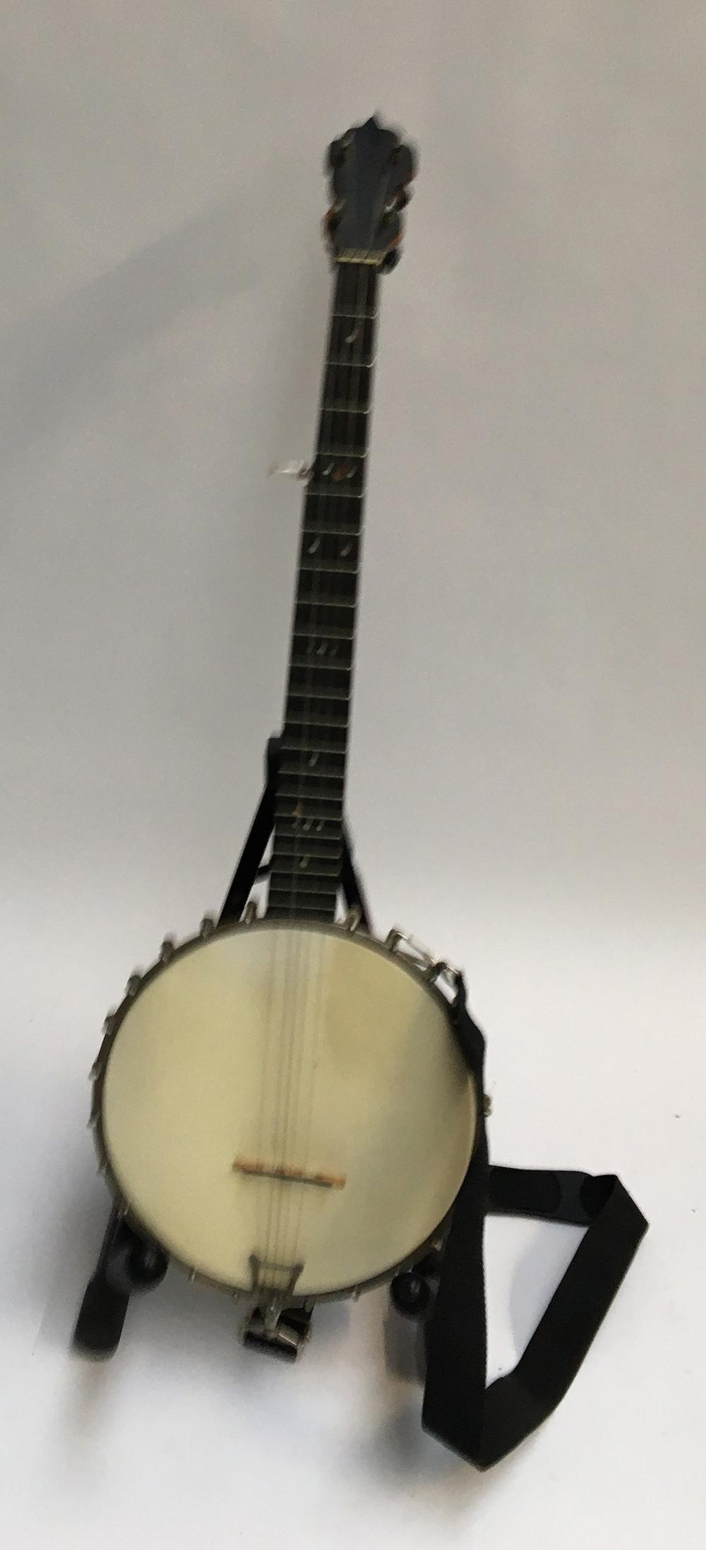 A five string banjo in soft case