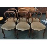 A set of six continental balloon back dining chairs, stuffover seats on carved cabriole legs