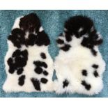 Two jacob sheepskin rugs