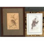 An etching of a robin, signed Kupercus, 14x10cm; together with a frame print of a climbing bear, '