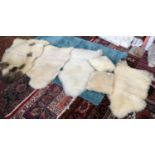 A lot of four sheepskin rugs, together with two sheepskin cushions