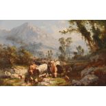 P. Graham, study of cattle in a highland landscape, signed oil on board, 27cm x 40cm