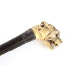 An Edwardian parasol, having carved bone dog's head handle; a malacca cane walking stick with horn
