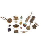 An Egypt Star medal 1882, various military cap badges, Eastern pendants etc.