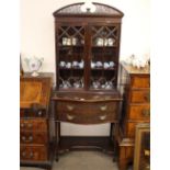 A late 19th Century mahogany display cabinet, in the revived Chippendale style, having pierced