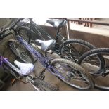 A girl's Apollo mountain bike