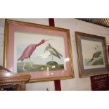 Two large colour prints depicting birds