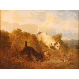 After George Armfield, a pair of studies depicting terriers hunting, unsigned oils on canvas, 19.5cm