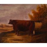 English school circa. 1900, a long horned bull in landscape, oil on canvas 50cm x 60cm