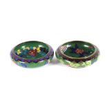 A pair of Oriental cloisonne shallow bowls, having prunus decoration, 14cm dia.