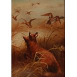 Early 20th Century school, study of ducks in flight disturbed by a fox; and another of ducks