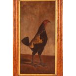 English school 19th Century,  study of a fighting cock, oil on canvas, 49cm x 23cm