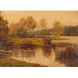 A. Tripp, study of a woodland river scene, signed oil on canvas, 24cm x 34cm