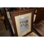Two oak framed prints after Arthur Wardle of dogs