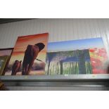 Three modern canvas prints