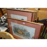 Four framed prints depicting game birds