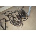 A quantity of working horse driving harness