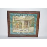 A W.D. & H.O. Wills Wild Woodbine cigarettes adver