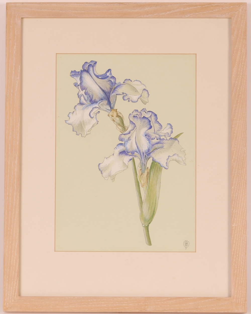 A watercolour study of Irises, monogrammed bottom