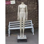 A papier maché female mannequin complete with stan