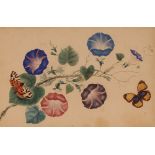 19th Century Chinese watercolour, depicting flowers and butterflies 22cm x 34.5cm, contained in a