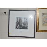 A monoprint entitled "Sunny Morning at Tunstall", signed Chrissy Norman