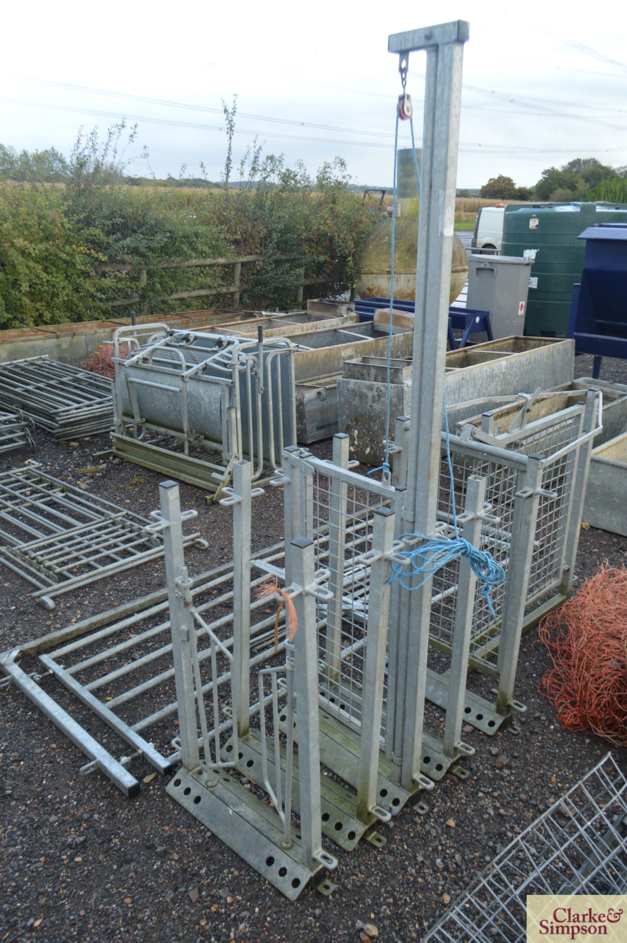 Sheep race frames, guillotine gate, non-return gate, race pins, double gate and shedding gate. - Image 3 of 3