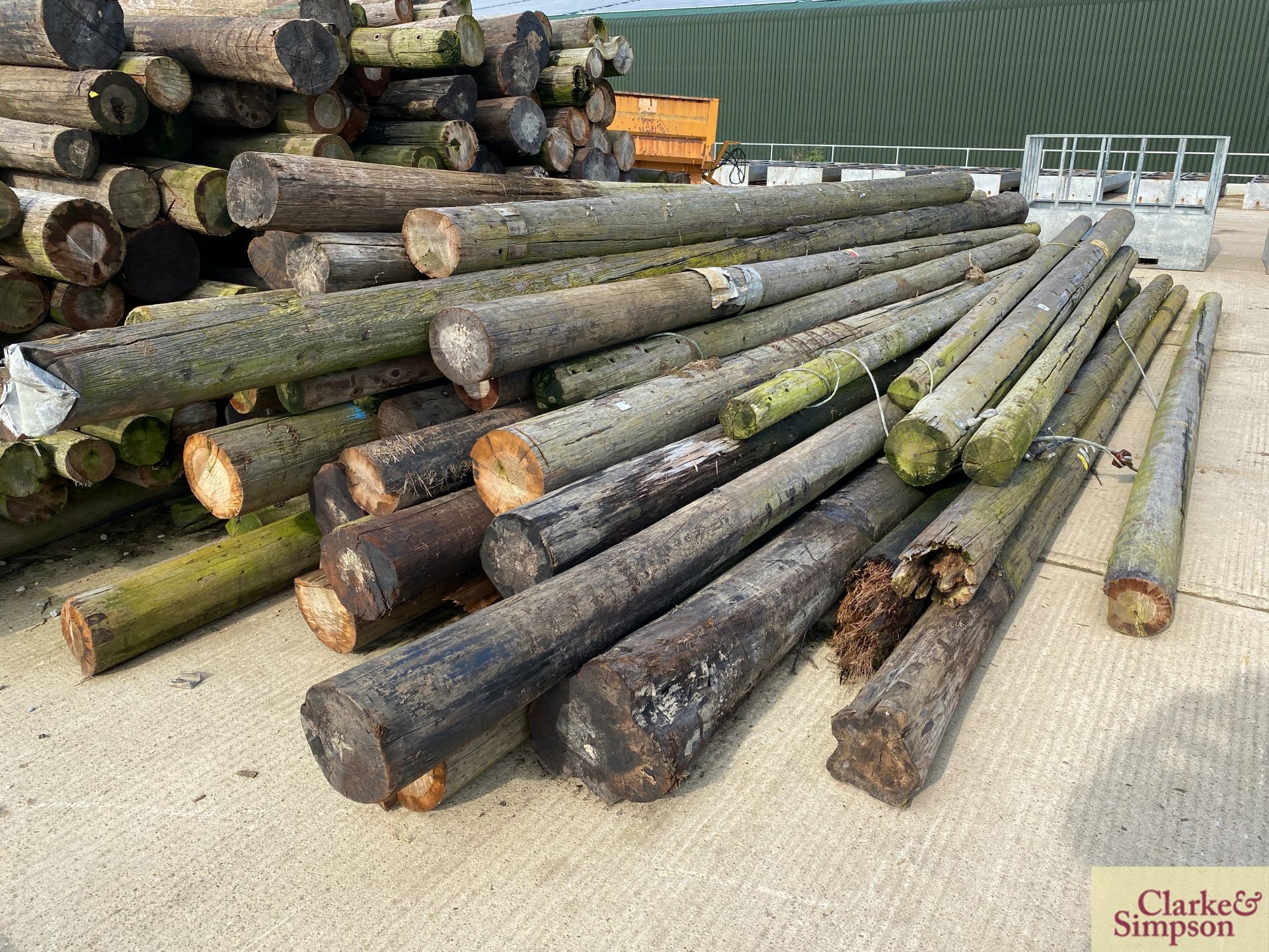 c. 40 telegraph poles of varying sizes. Approximately 28ft in length. * [Located Roudham] - Image 3 of 5