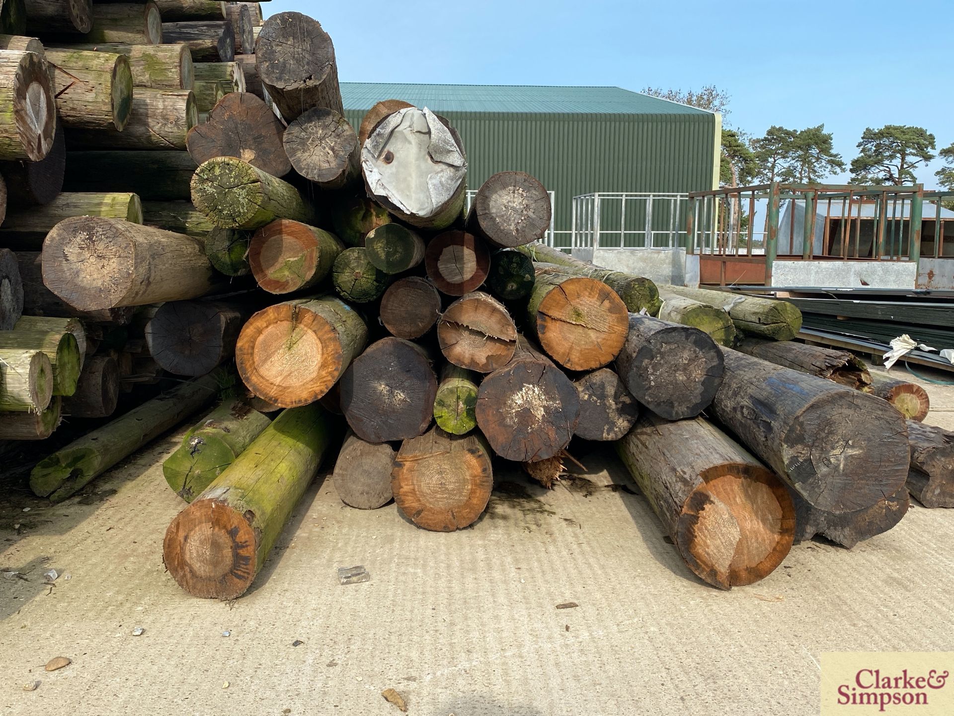 c. 40 telegraph poles of varying sizes. Approximately 28ft in length. * [Located Roudham] - Image 5 of 5