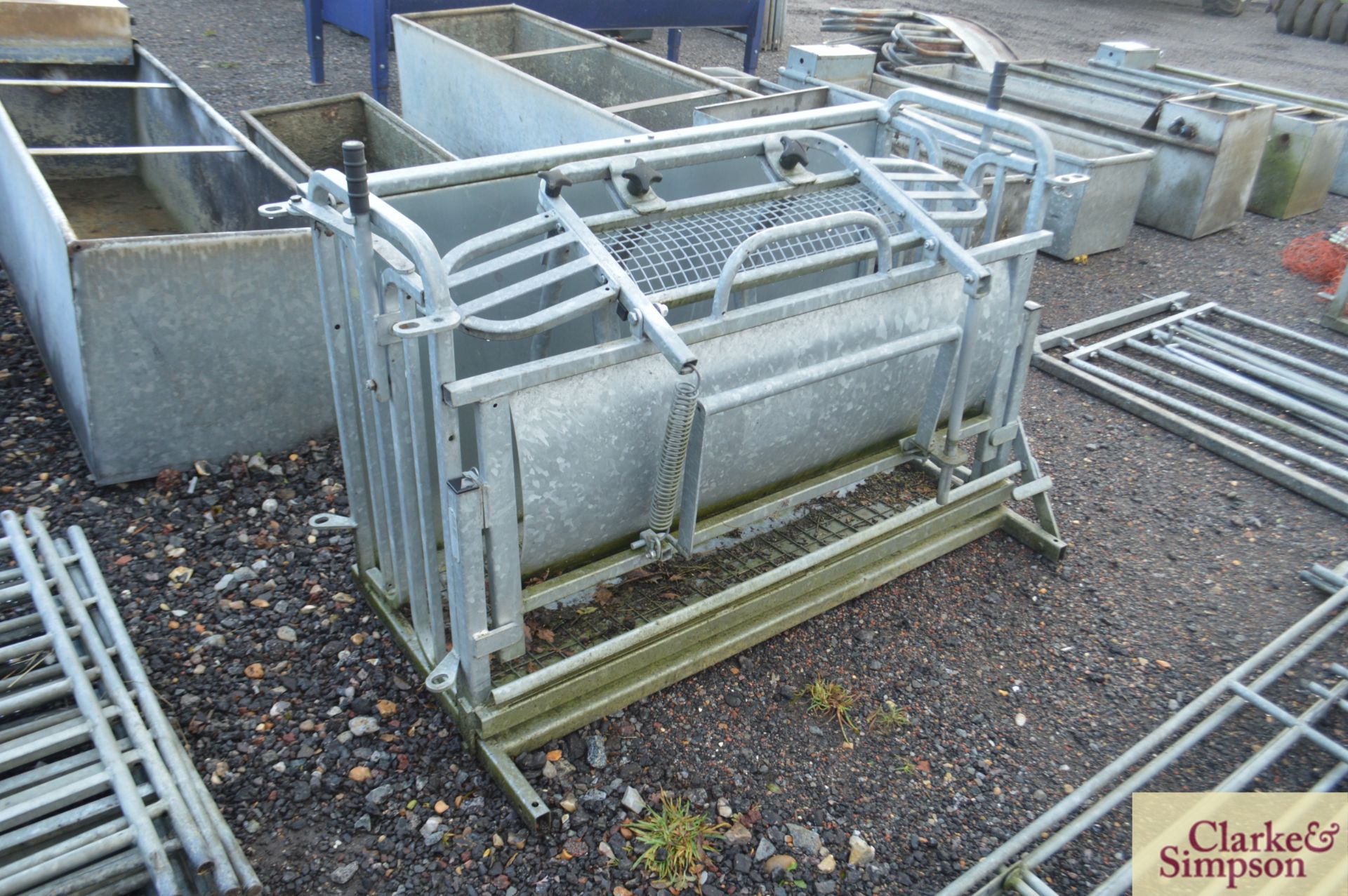 IAE sheep roll over crate. - Image 2 of 4