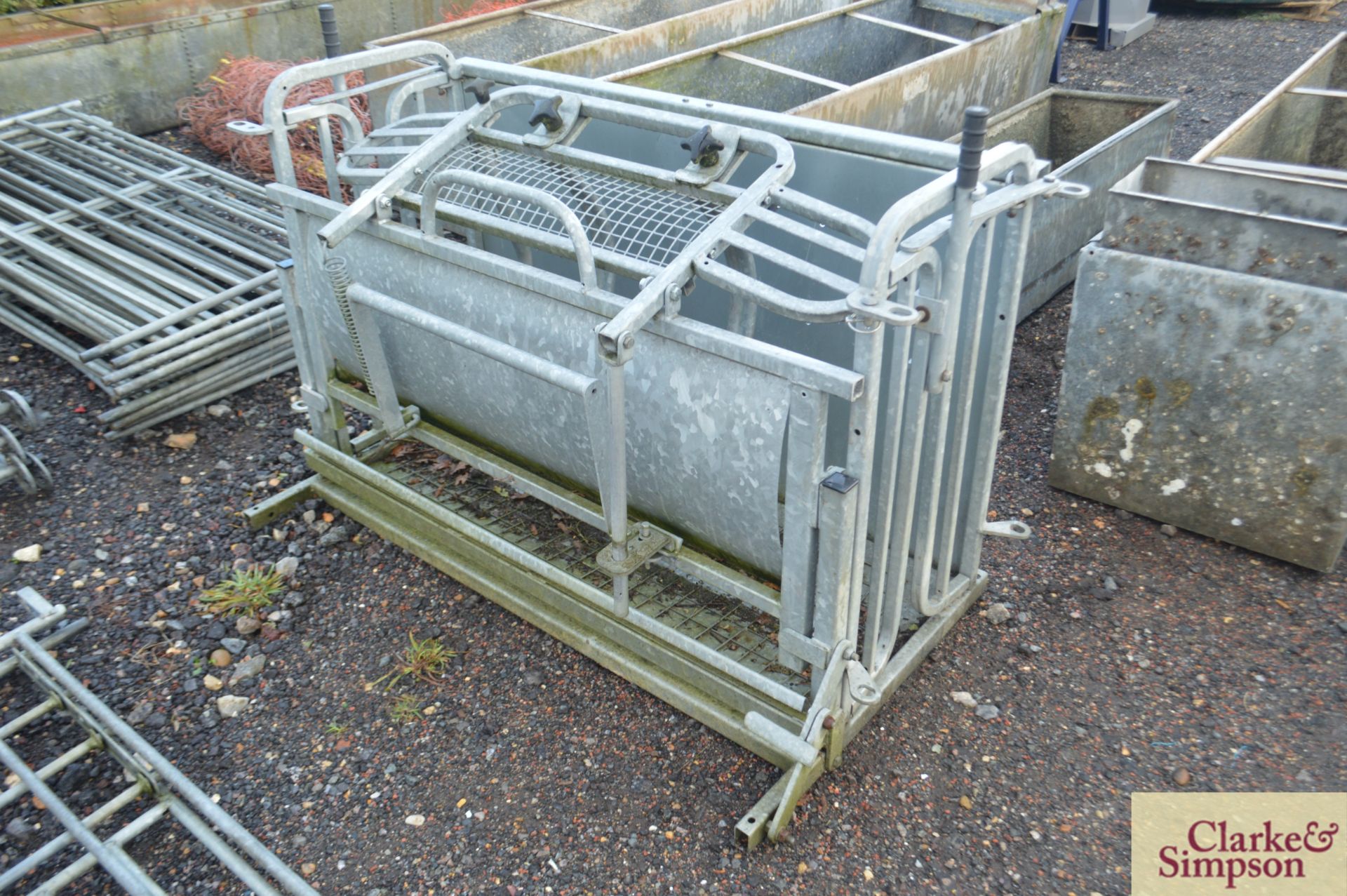 IAE sheep roll over crate.