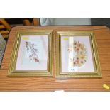 Two gilt framed dried flower arrangements