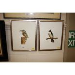 R Halls, two watercolour studies of perched birds