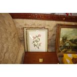 A pair of gilt framed botanical prints