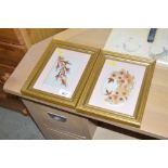 Two gilt framed dried flower arrangements