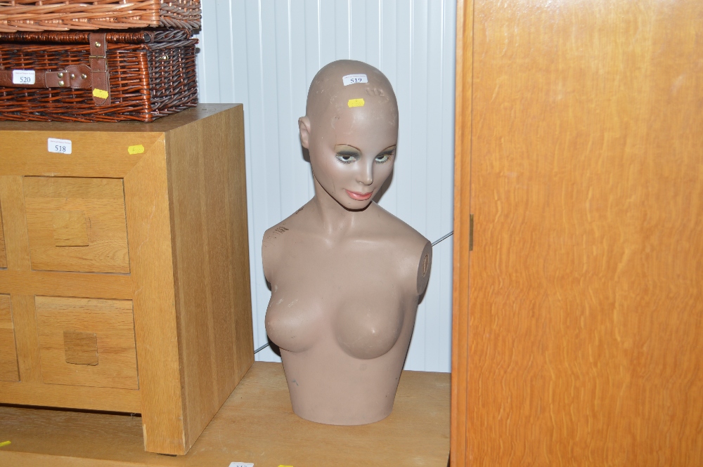 A female mannequin bust