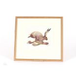 M Dyer, study of a hare, pencil signed limited edi