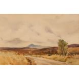 Dorothy Brown, windswept landscape study possibly