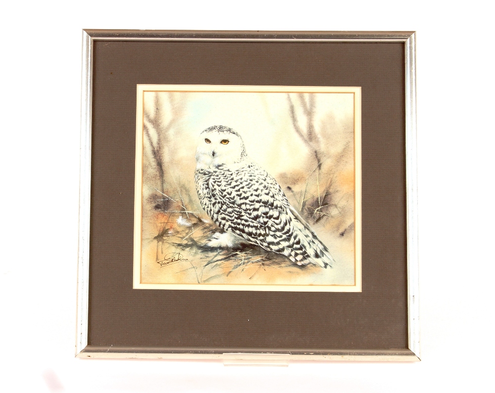 Trevor Stark, study of an owl, signed watercolour, - Image 2 of 2