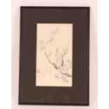 An antique Chinese watercolour depicting blossom i