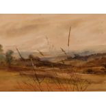 Anne Paterson Wallace, "Summer Grasses" signed watercolour, 51cm x 70cm