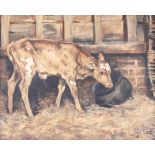 John Emms 1843-1912, study of a calf in a stable, oil on canvas signed and dated April '10, 10.
