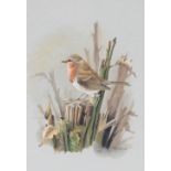 Terence James Bond, study of a robin perched on tree stump, signed watercolour, 31.5cmx 21.5cm