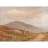 A Colles, "Road Near Recess, Co.Galway", signed oil on canvas, 29cm.5cm x 39.5cm