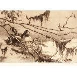 Winifred Austen, etching of ducks, pencil signed on mount, plate 19cm x 25.5cm