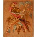 A Victorian needlepoint embroidery of a parrot, 63cm x 51cm, contained in a rosewood frame