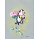 Peter R Holmes, pastel study of Goldfinch, signed and dated 1968, 26cm x 17cm