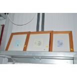 Three pine framed Winnie the Pooh prints