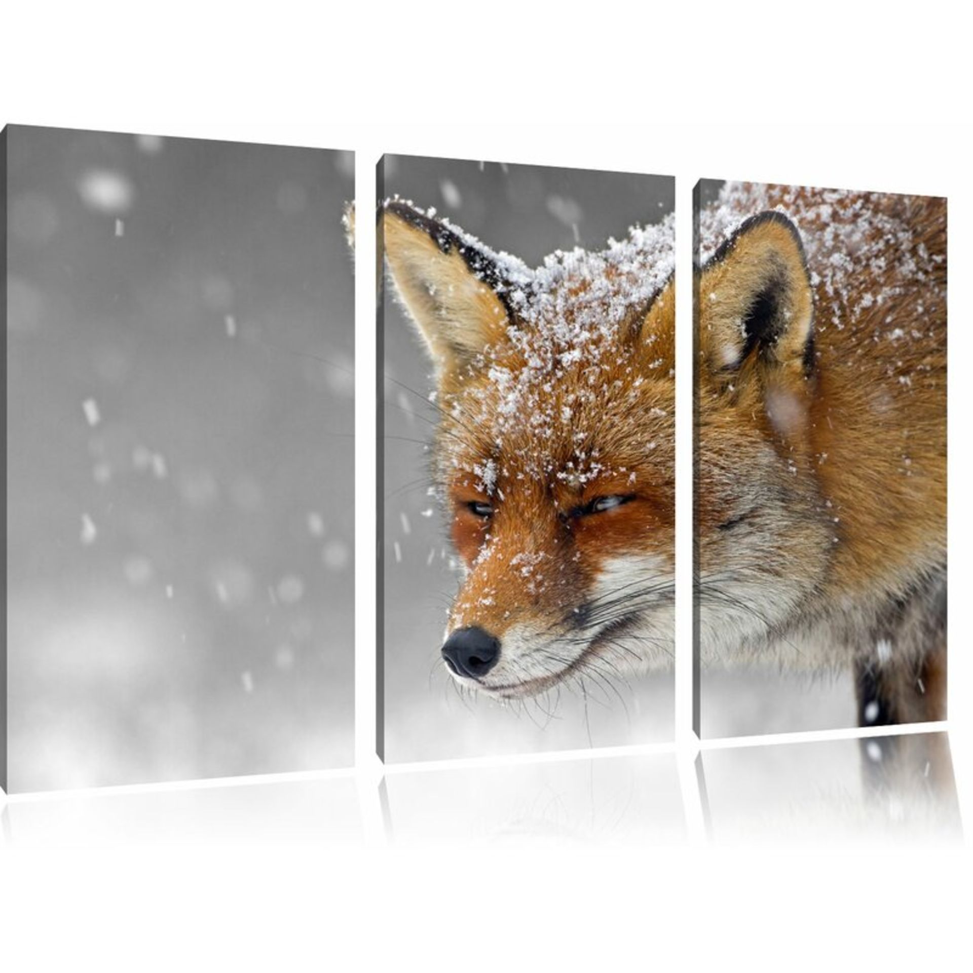 Beautiful Fox in Snow 3-Piece Photographic Print on Canvas Set by Pixxprint