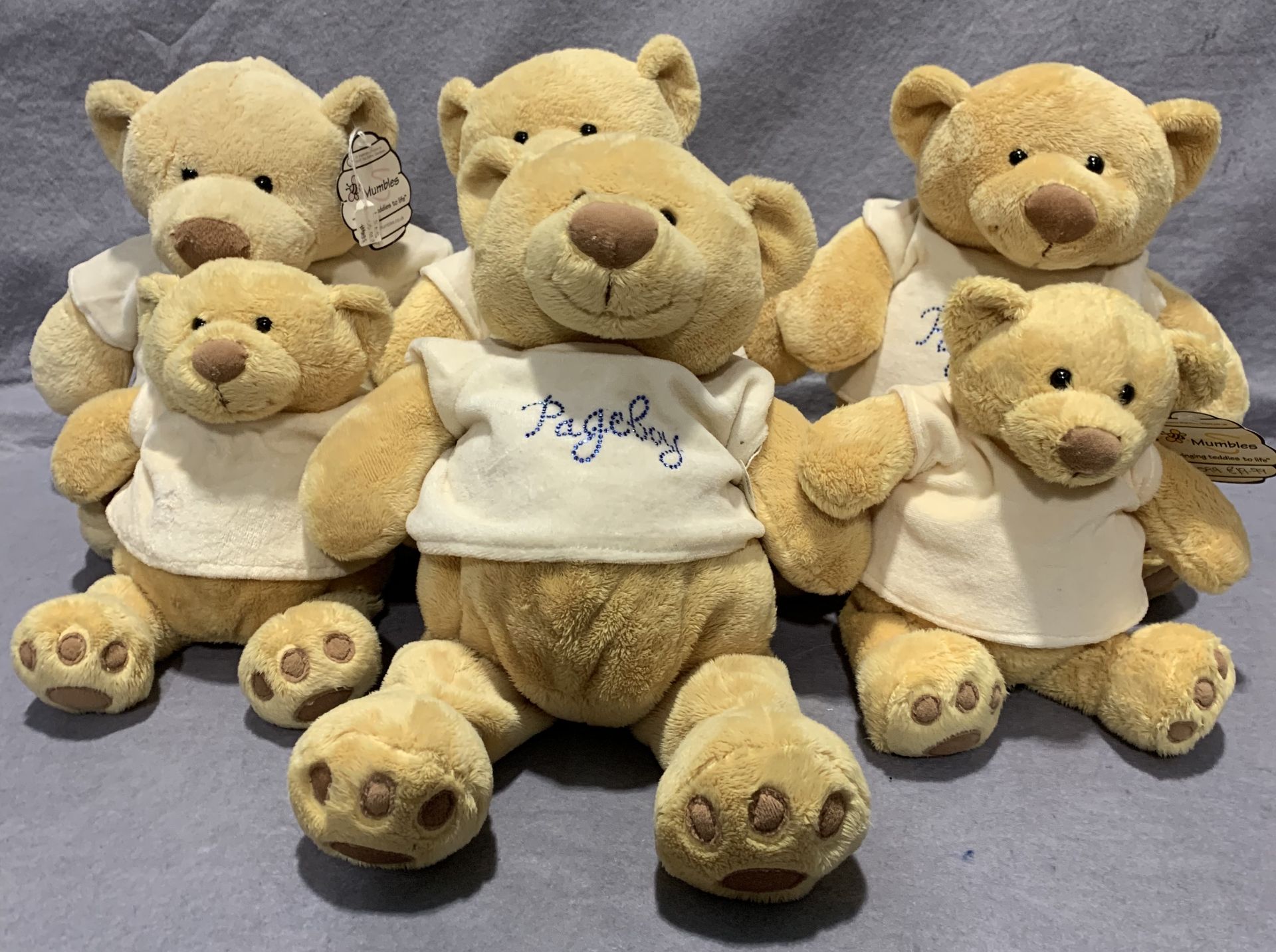 6 x soft teddy bears in two sizes